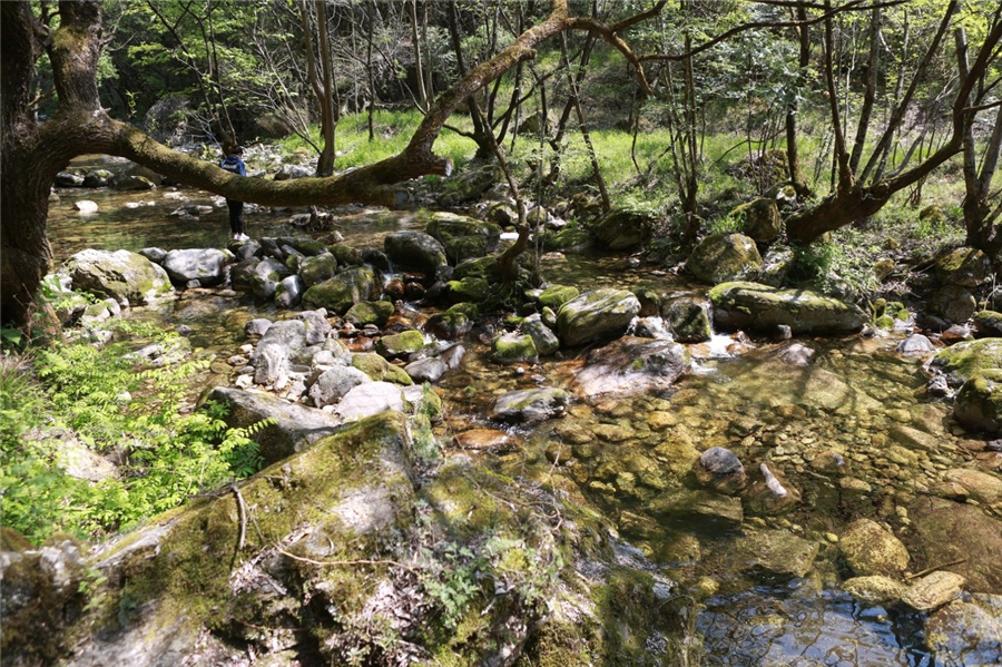 ţҼȻھۡйԼ췽ͼ