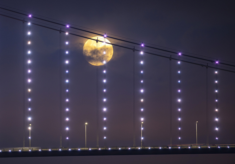 ʱ526գ˹̹ȫʳ͡ҹաӾйȨƷתء