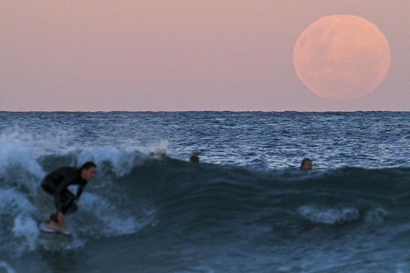 ʱ526գĴϤᣬȫʳ͡ҹաӾйȨƷתء