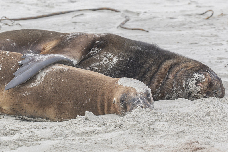 ʱ2021226գᶡʨں̲ɹ̫ӾйȨƷת