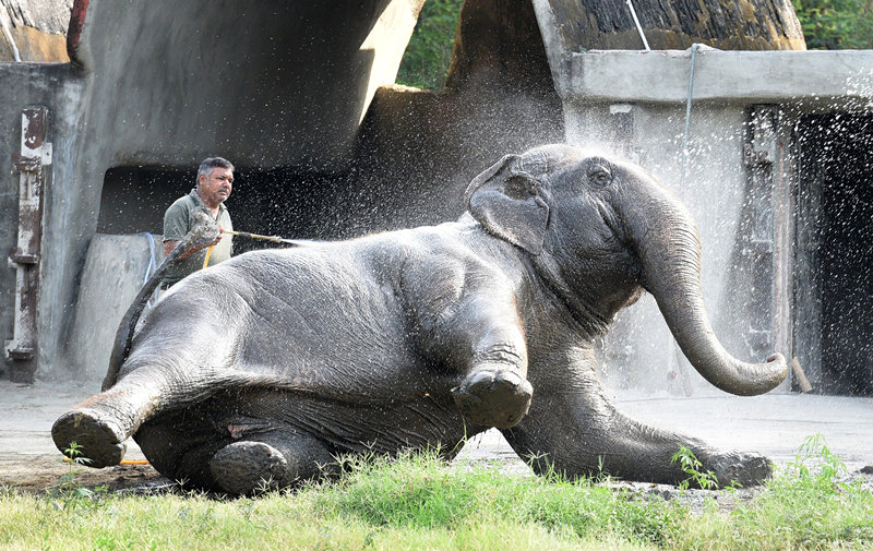 ʱ2021327գӡ׶µض԰Ա¹Ӱ챻ȹرһԺ󣬸ö԰41¶⿪šӾйȨƷת