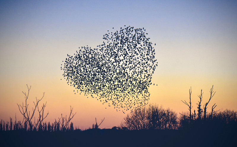 ʱ202131գӢķʱ֣ؿз˰ĵ״ӾйȨƷתء