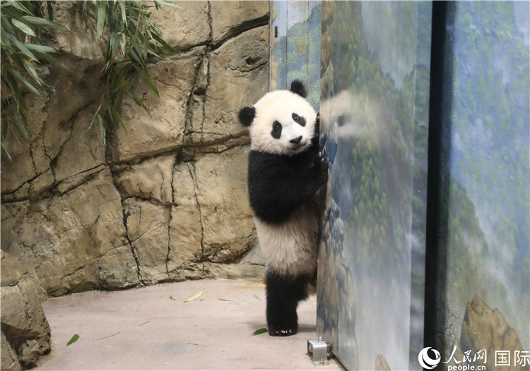 ͼΪ9´è̡С漣 ־ΰ