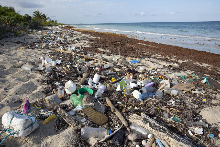 ����ʱ��2021��3��4�գ�ī������������ݣ���̲�����������ѻ����Ӿ��й���Ȩ��Ʒ������ת�ء�