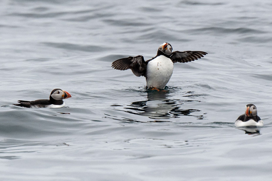 ʱ202168գ³ȿ˵ۼڡߵౣӾйȨƷתء