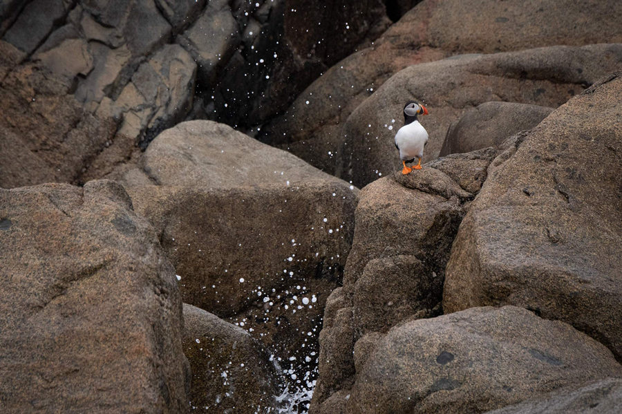 ʱ202168գ³ȿ˵ۼڡߵౣӾйȨƷתء