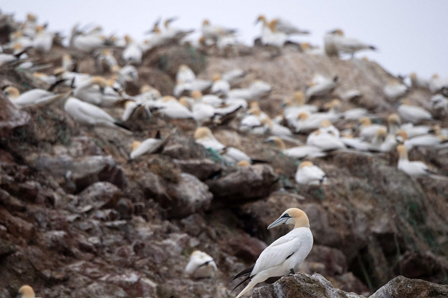 ʱ202168գ³ȿ˵ۼڡߵౣӾйȨƷתء