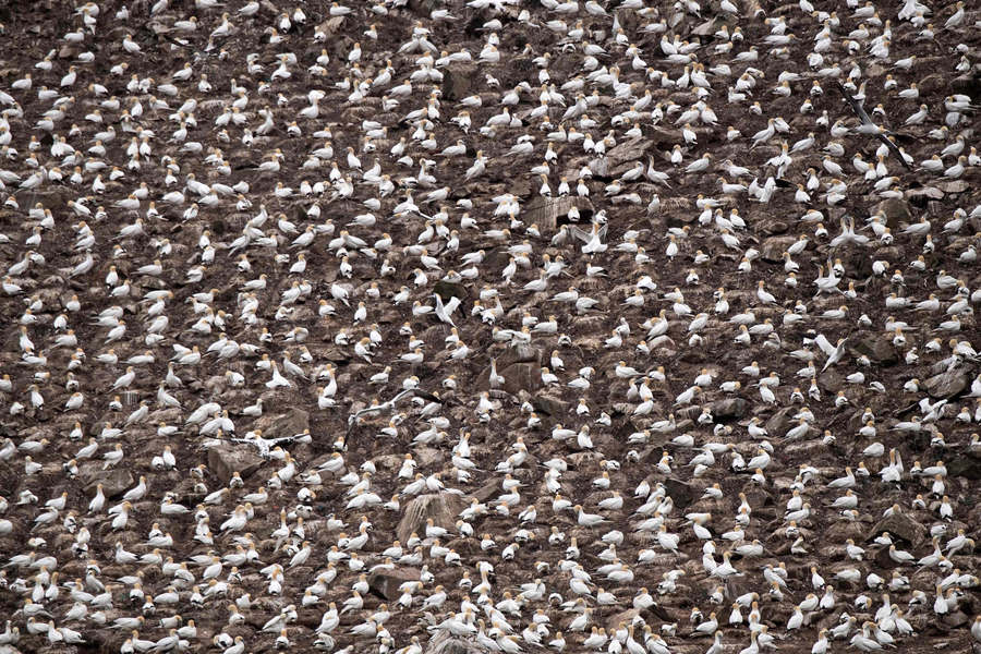 ʱ202168գ³ȿ˵ۼڡߵౣӾйȨƷתء