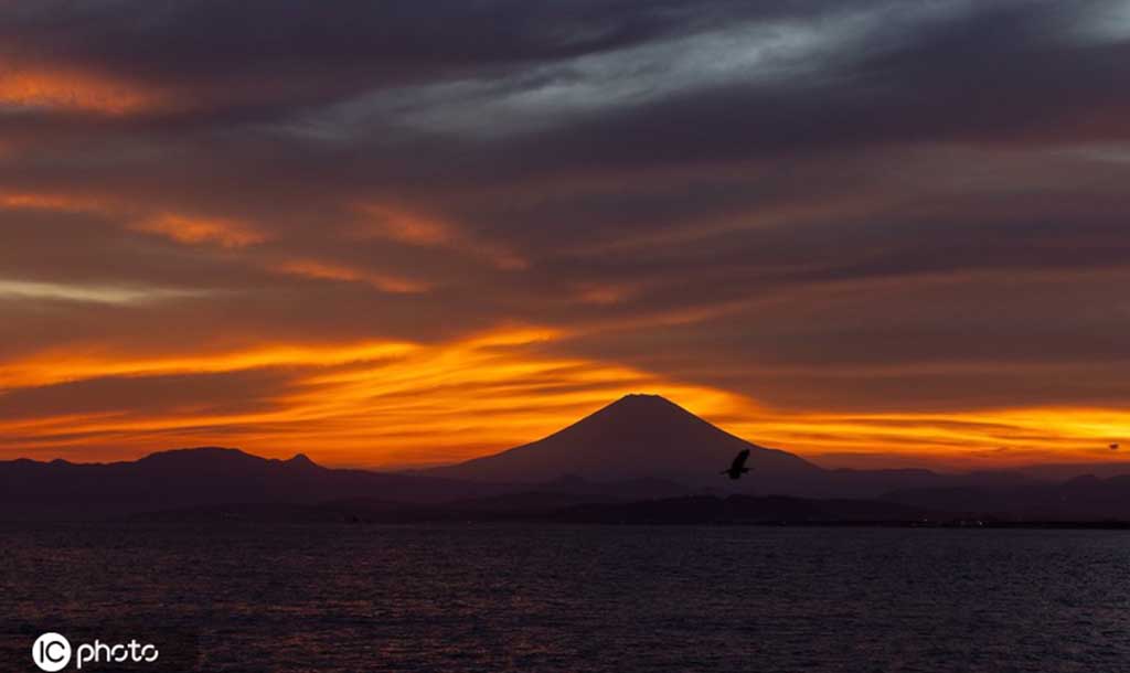 IC photo��Ȩ��Ʒ������ת��