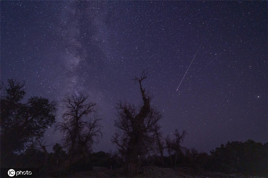 812賿½ջũ֣һŻǻҹգӡͬICPhotoȨƷתء