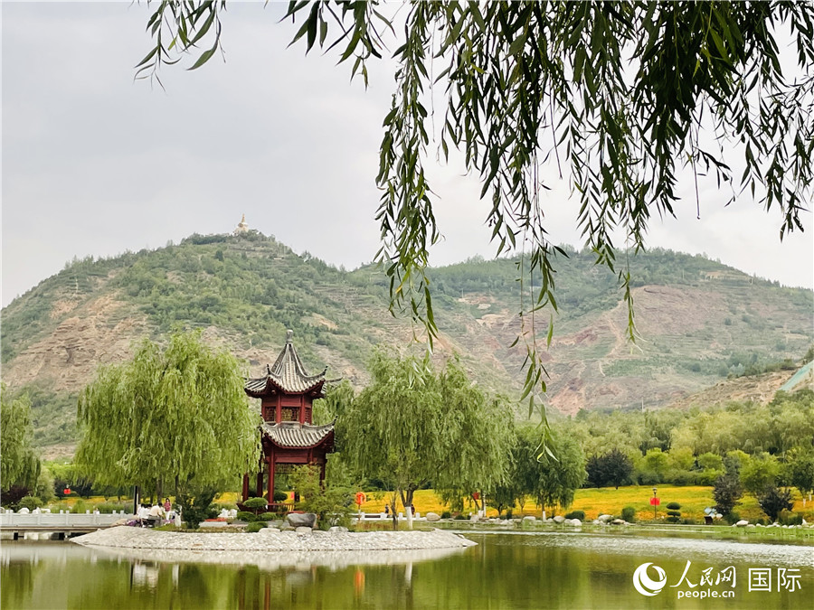 ɽ԰ڵ̨ͤˮ鿡 лӨ