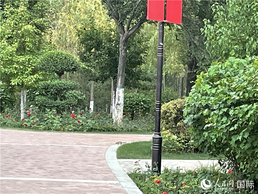 ɽ԰һֻСС·ϴ лӨ