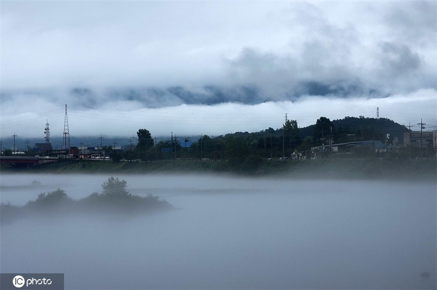 ICphoto��Ȩ��Ʒ������ת��