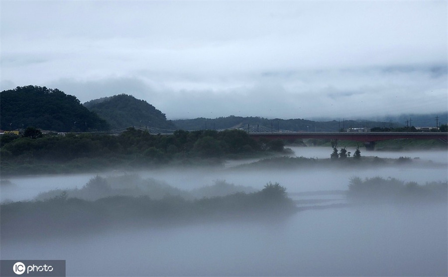 ICphoto��Ȩ��Ʒ������ת��