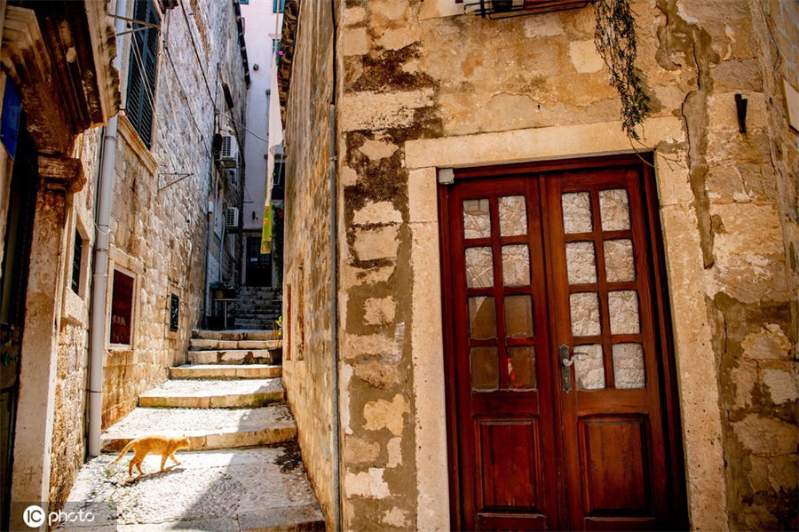 IC photo��Ȩ��Ʒ������ת��