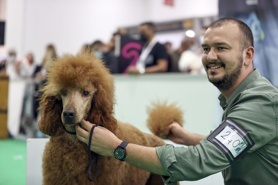 ʱ1023գ˹̹2021ŷǳﲩ˹̹ľУƷزϼӦ̲չӾйȨƷתء