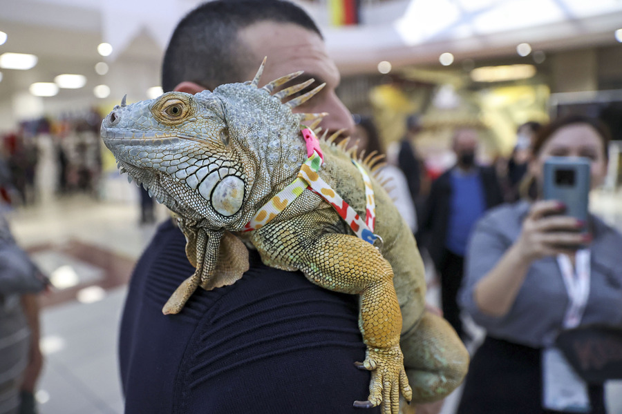 ʱ1023գ˹̹2021ŷǳﲩ˹̹ľУƷزϼӦ̲չӾйȨƷתء