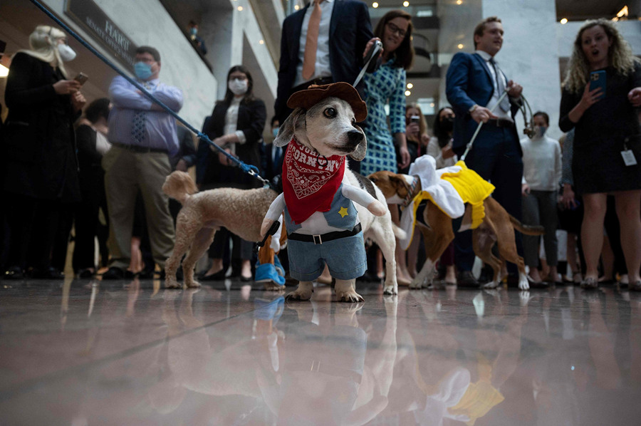 ʱ1027գʢɽȹṷװУԱԱ칷μӡӾйȨƷתء