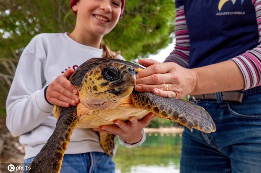 ʱ1026գ޵άֻPElla-RavkaMartin󺣡ICPhotoȨƷתء