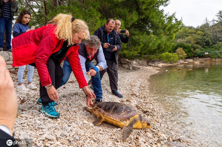 ʱ1026գ޵άֻPElla-RavkaMartin󺣡ICPhotoȨƷתء