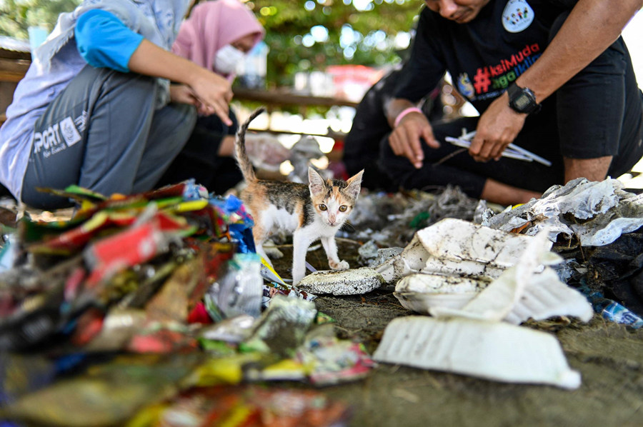 ʱ1028գӡǱɰ³ؾ̲Ļ־Ըں̲ʰӾйȨƷתء