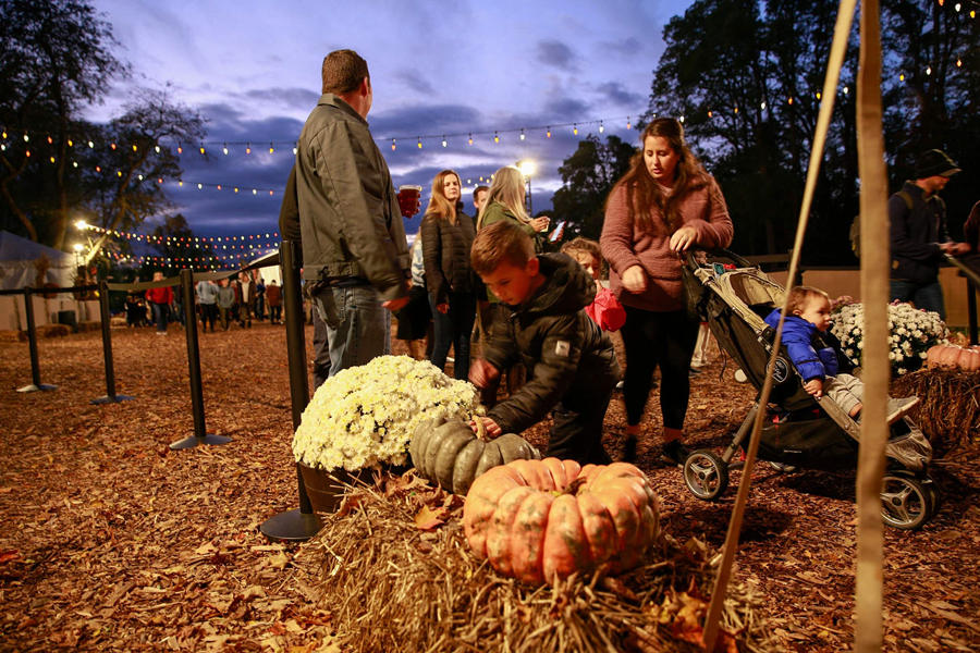 ʱ1027գŦԼʥǰϦؾнܿϹϵչӾйȨƷתء