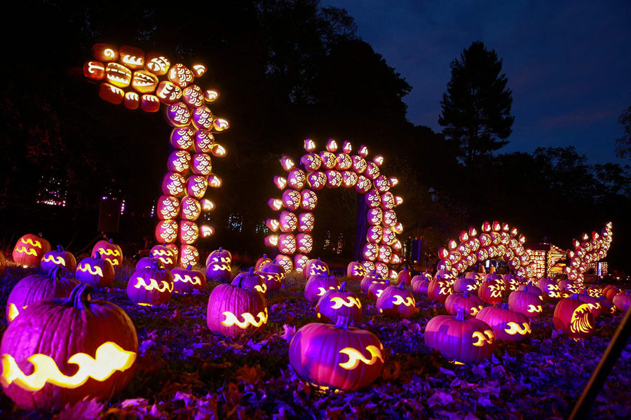 ʱ1027գŦԼʥǰϦؾнܿϹϵչӾйȨƷתء