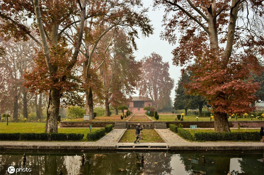 ӡؿʲ׶ļ׸˹Ǽӭ ɫ