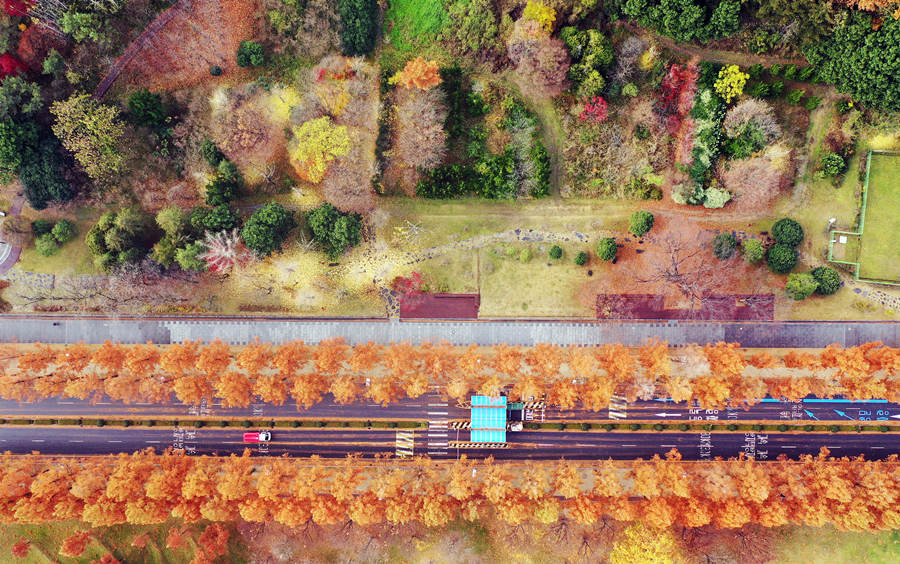 ʱ20211122գݣҶסһɫӾйȨƷתء