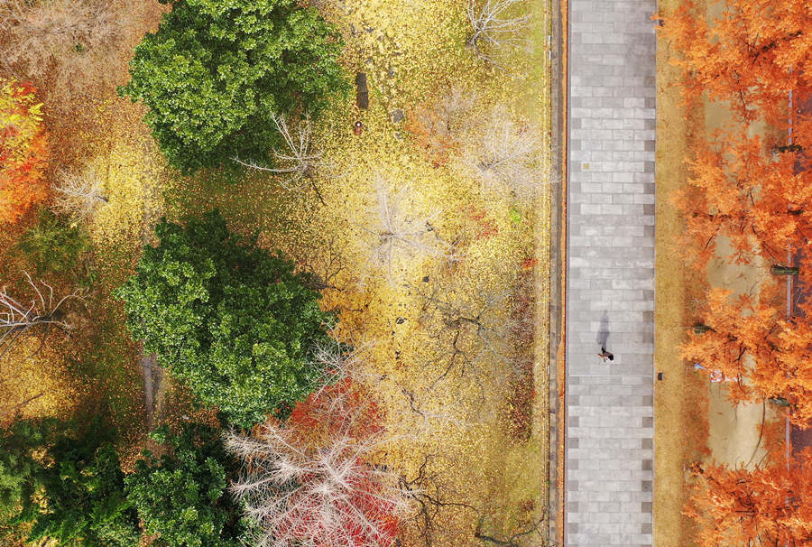 ʱ20211122գݣҶסһɫӾйȨƷתء