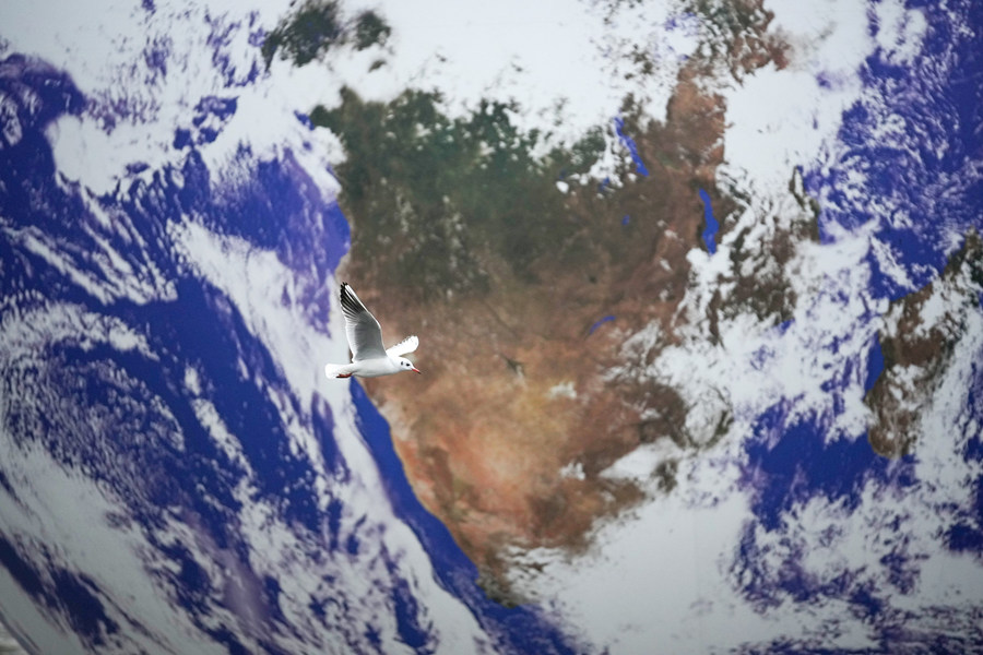 ʱ20211123գӢصĺչһž޴ƷƯ򡱡ӾйȨƷתء