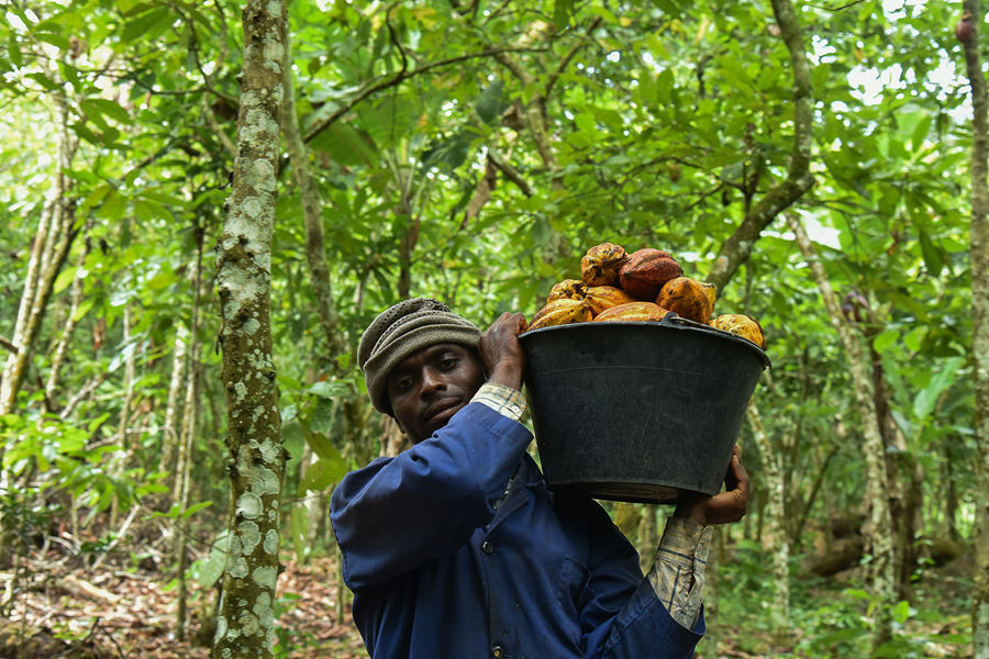 ʱ20211122գ¡EkoumdoumaջɿɡӾйȨƷתء