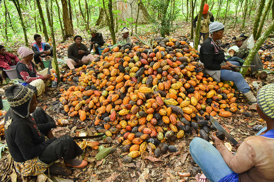 ʱ20211122գ¡EkoumdoumaջɿɡӾйȨƷתء