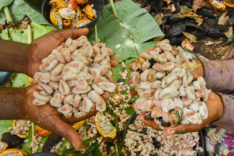 ʱ20211122գ¡EkoumdoumaջɿɡӾйȨƷתء