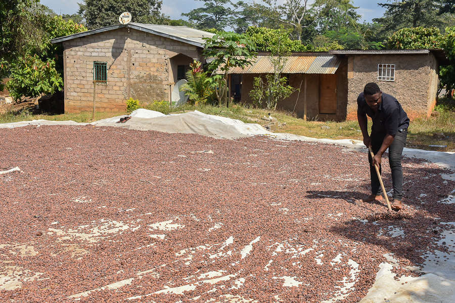 ʱ20211122գ¡EkoumdoumaջɿɡӾйȨƷתء