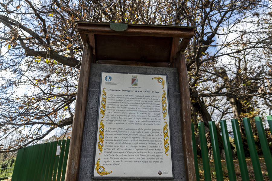 ʱ20211124գǣһ3000ͦɡӾйȨƷתء