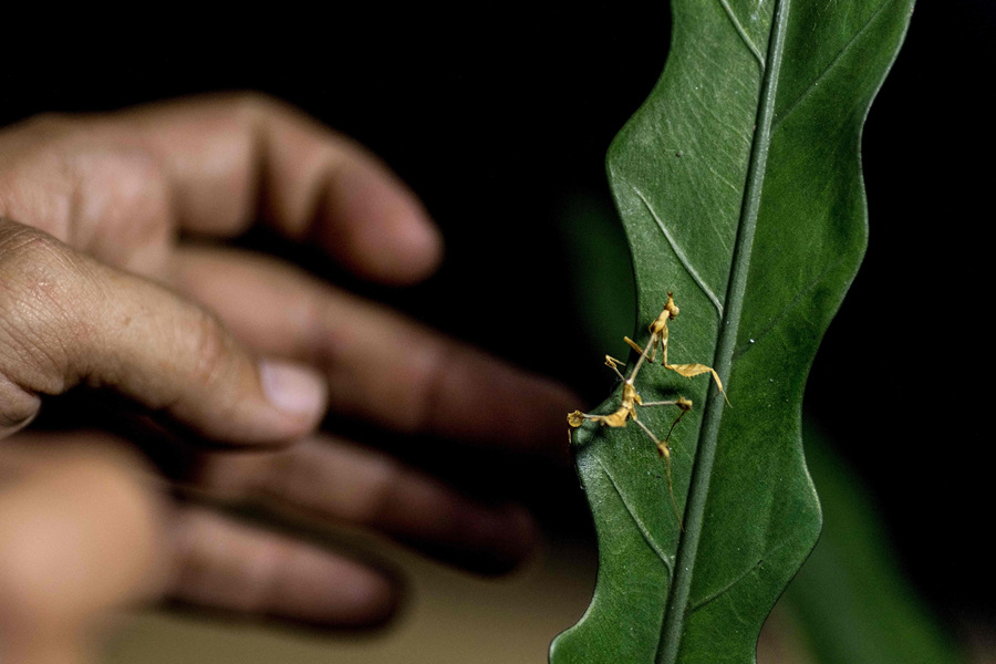 ʱ20211125գ̩Ⱦ2021ﲩᡣӾйȨƷתء