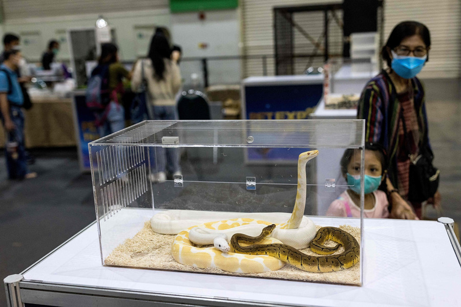 ʱ20211125գ̩Ⱦ2021ﲩᡣӾйȨƷתء