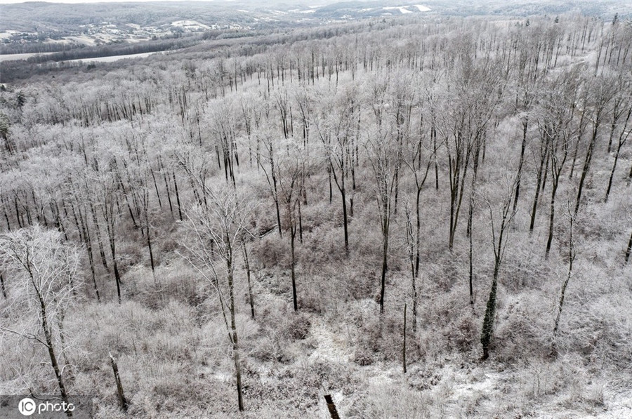 ����IC��Ȩ��Ʒ������ת�ء�