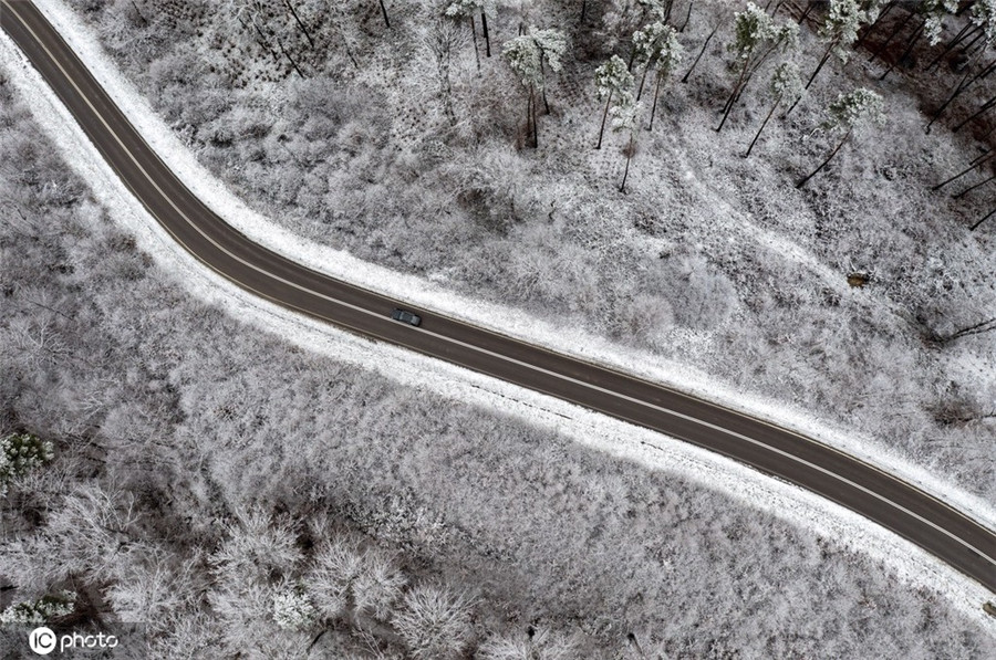 ����IC��Ȩ��Ʒ������ת�ء�