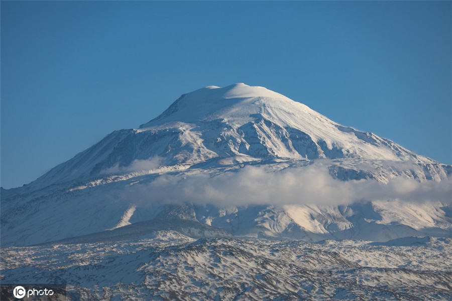 ����IC��Ȩ��Ʒ������ת�ء�