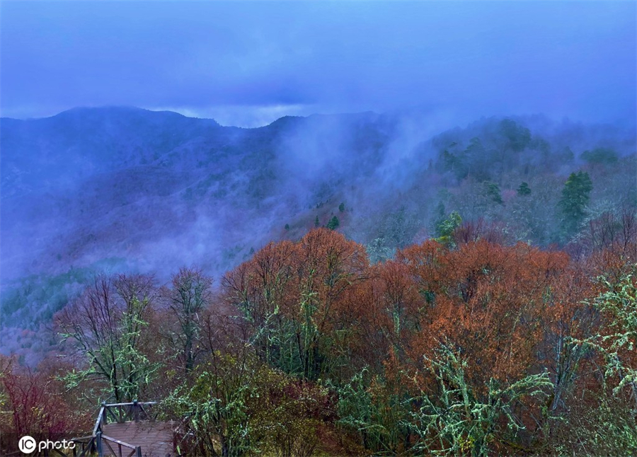 ����IC��Ȩ��Ʒ������ת�ء�