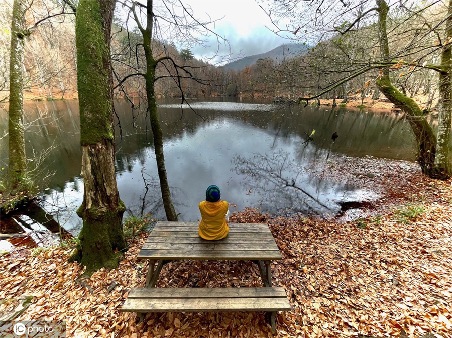 ����IC��Ȩ��Ʒ������ת�ء�