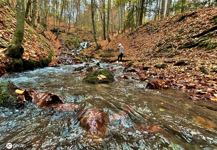 ����IC��Ȩ��Ʒ������ת�ء�