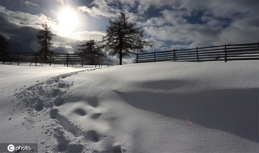 ����IC��Ȩ��Ʒ������ת�ء�