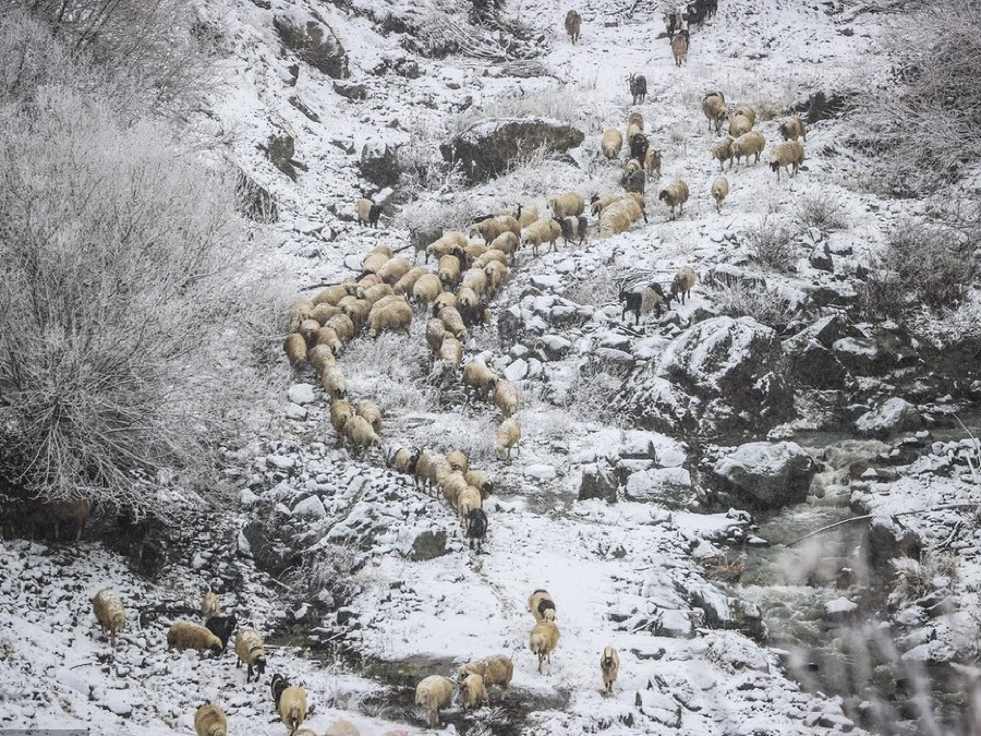 ICPhoto��Ȩ��Ʒ������ת�ء�