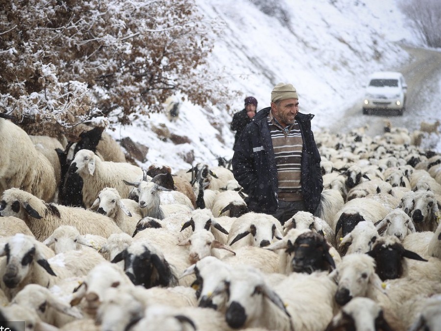 ICPhoto��Ȩ��Ʒ������ת�ء�