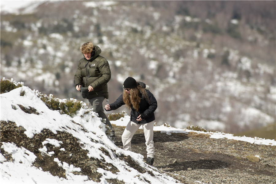 ����IC��Ȩ��Ʒ������ת�ء�