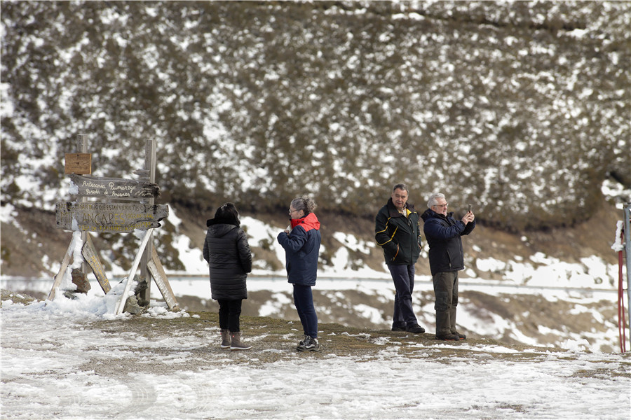 ����IC��Ȩ��Ʒ������ת�ء�