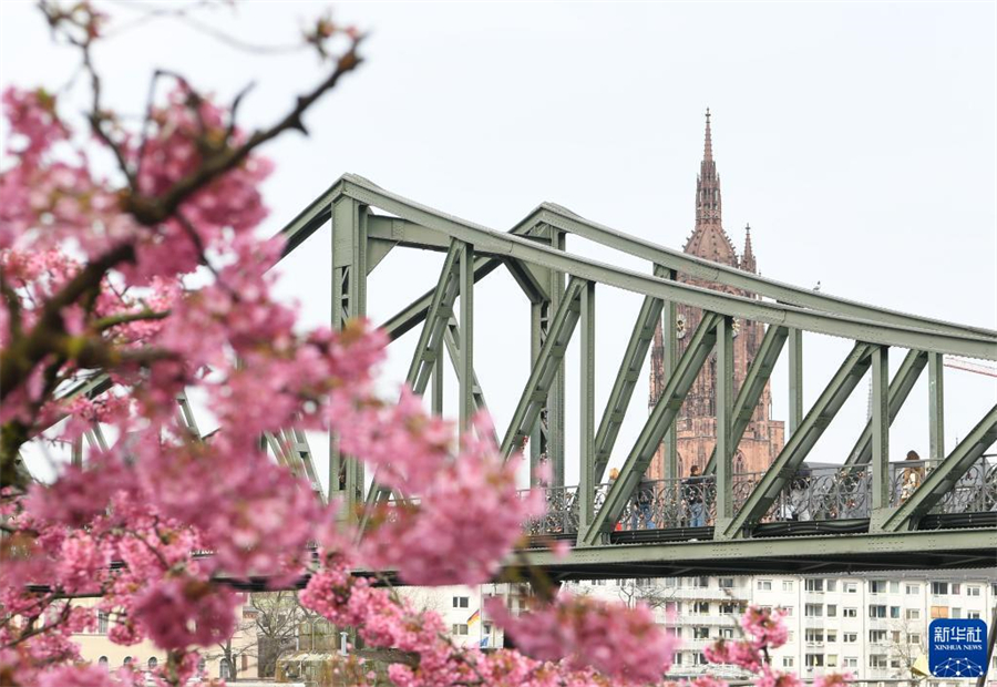 316գ¹˸ʻʢգ¹˸𽥻ůϵʻεڿš»  